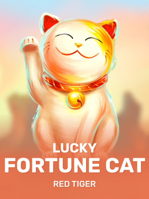 Lucky Fortune Cat